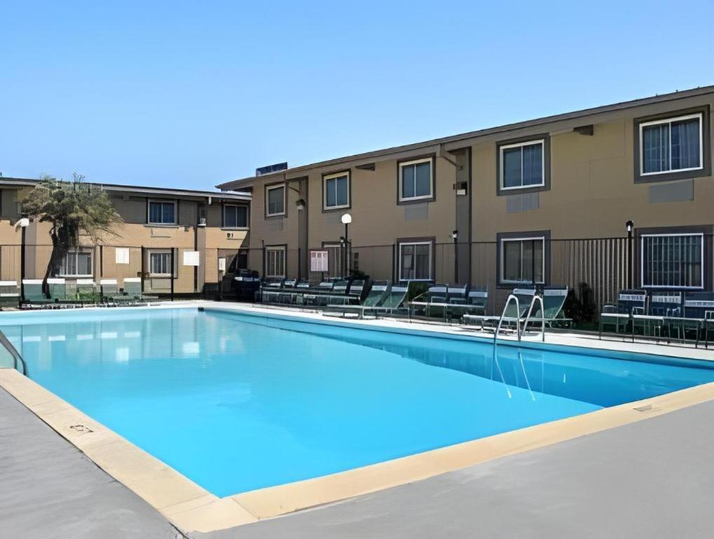 Super 8 By Wyndham I-10 College St Motel